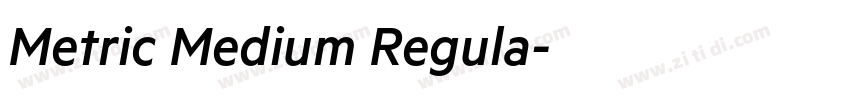 Metric Medium Regula字体转换 Metric Medium Regula字体转换